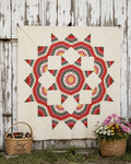 Vintage Quilt Broken Star
