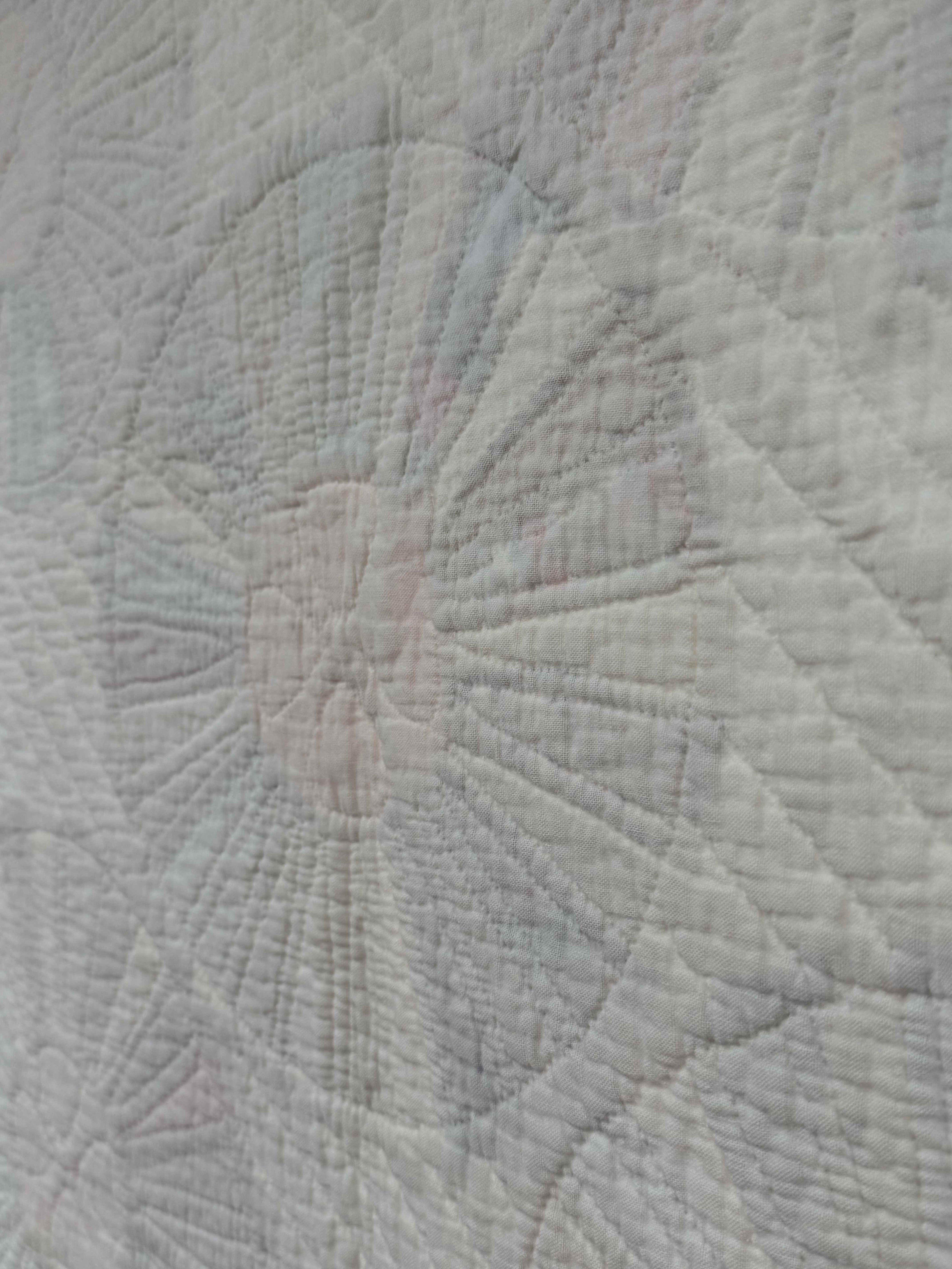 Vintage Quilt Dresden Plate