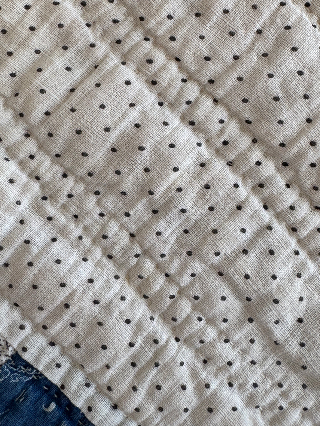 Vintage Chinese Coin Variation Quilt