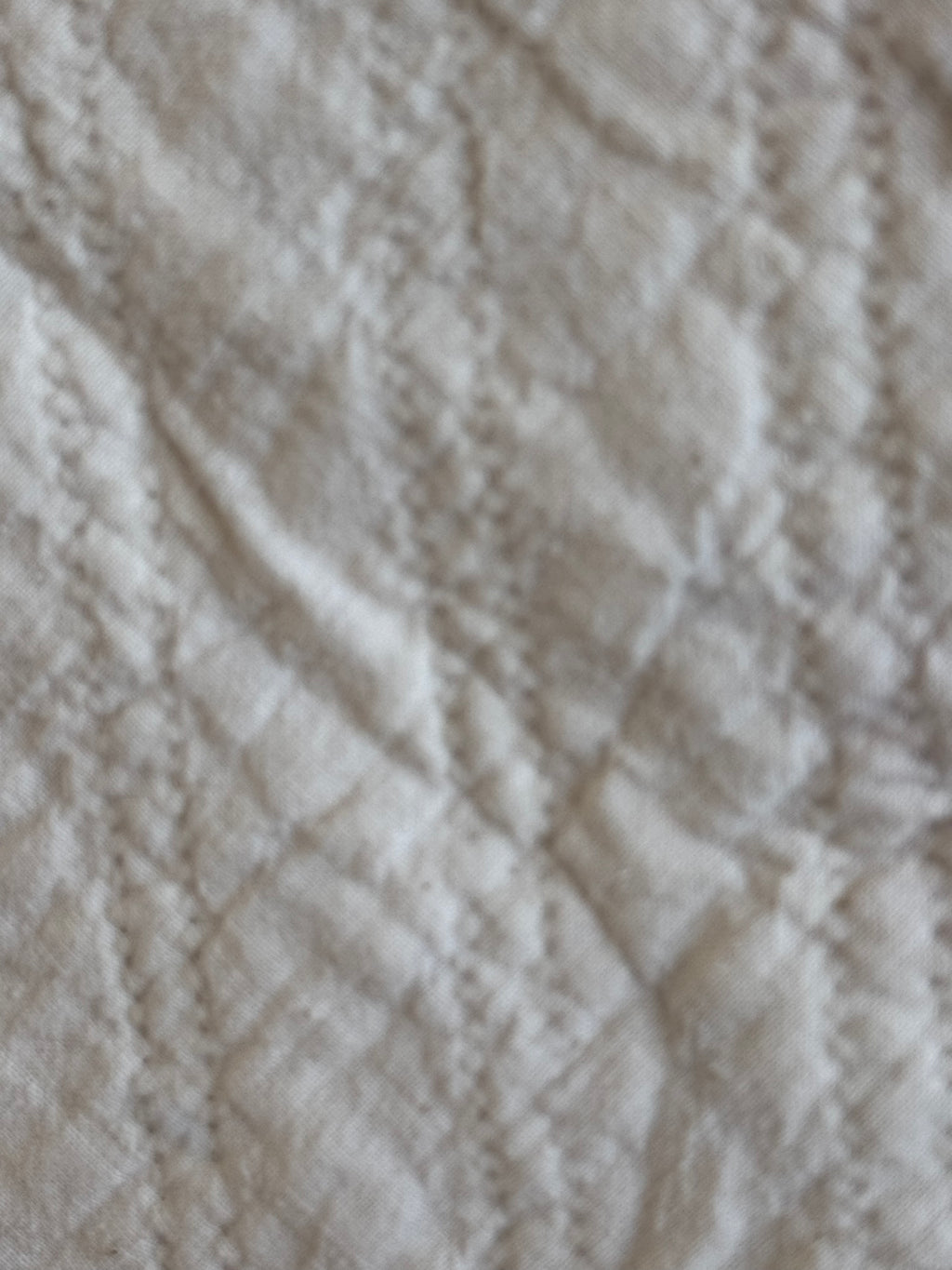 Vintage Chinese Coin Variation Quilt