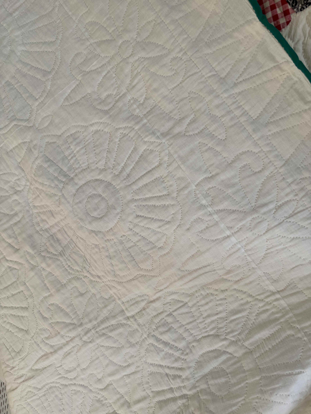Vintage Quilt Dresden Plate Variation