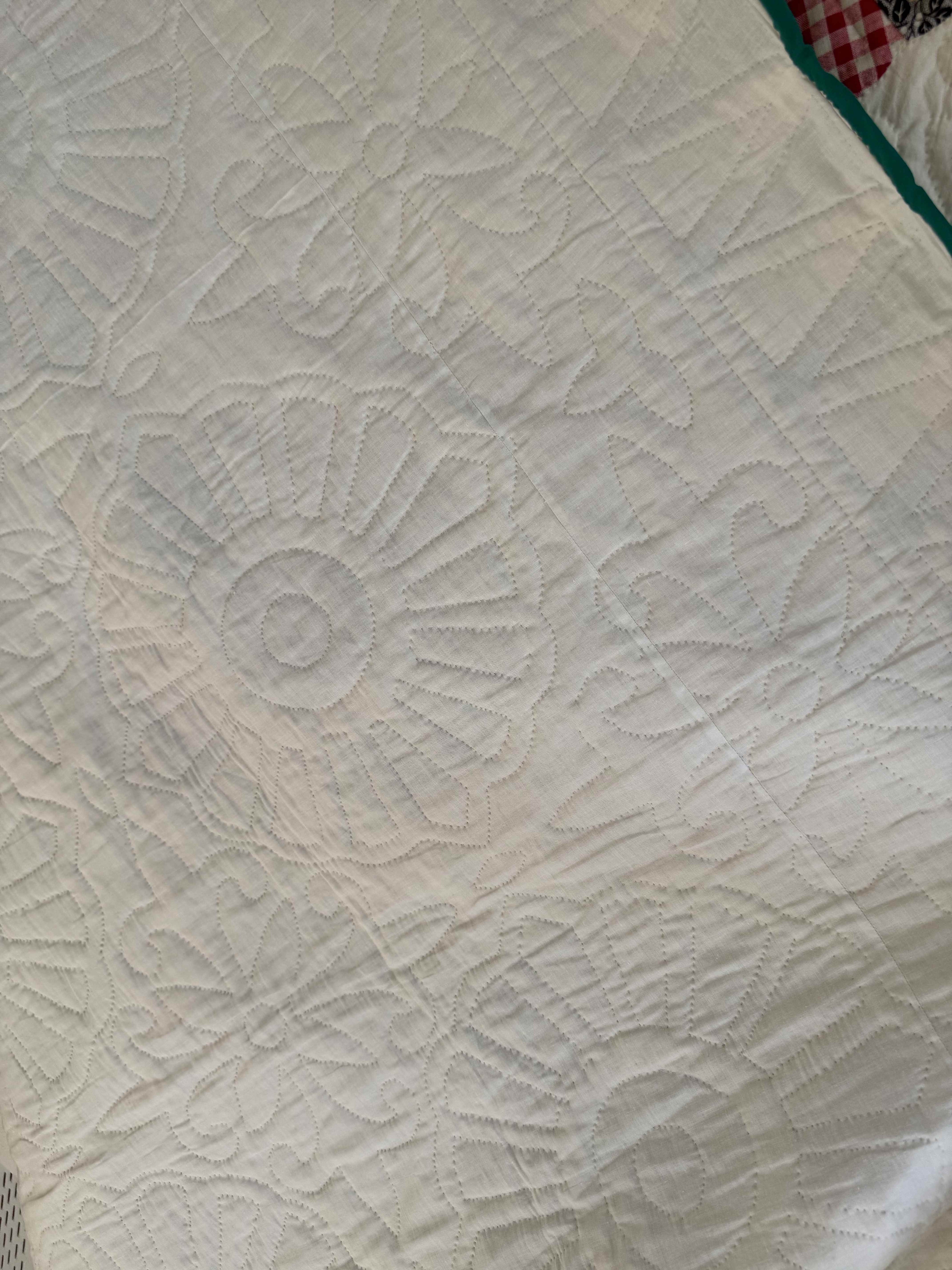 Vintage Quilt Dresden Plate Variation