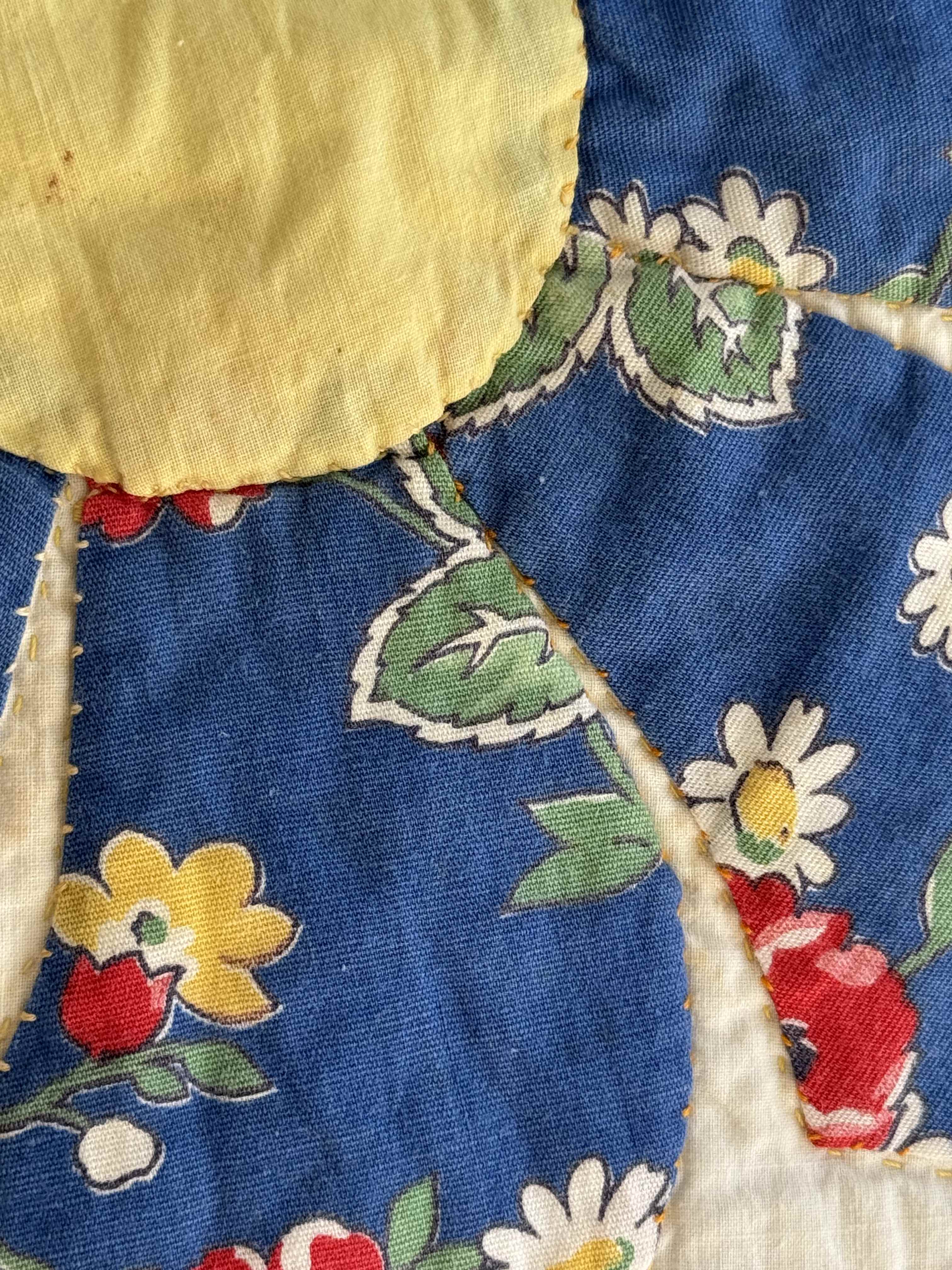 Vintage Quilt Dresden Plate Variation