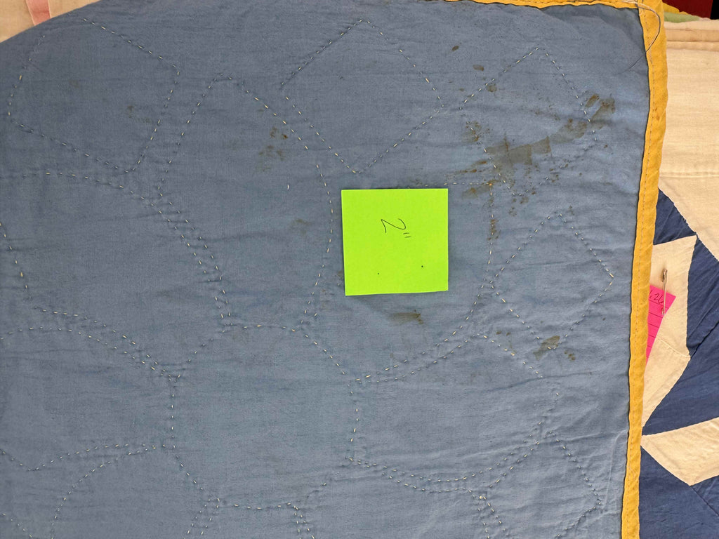 Vintage Quilt Dresden Plate Variation