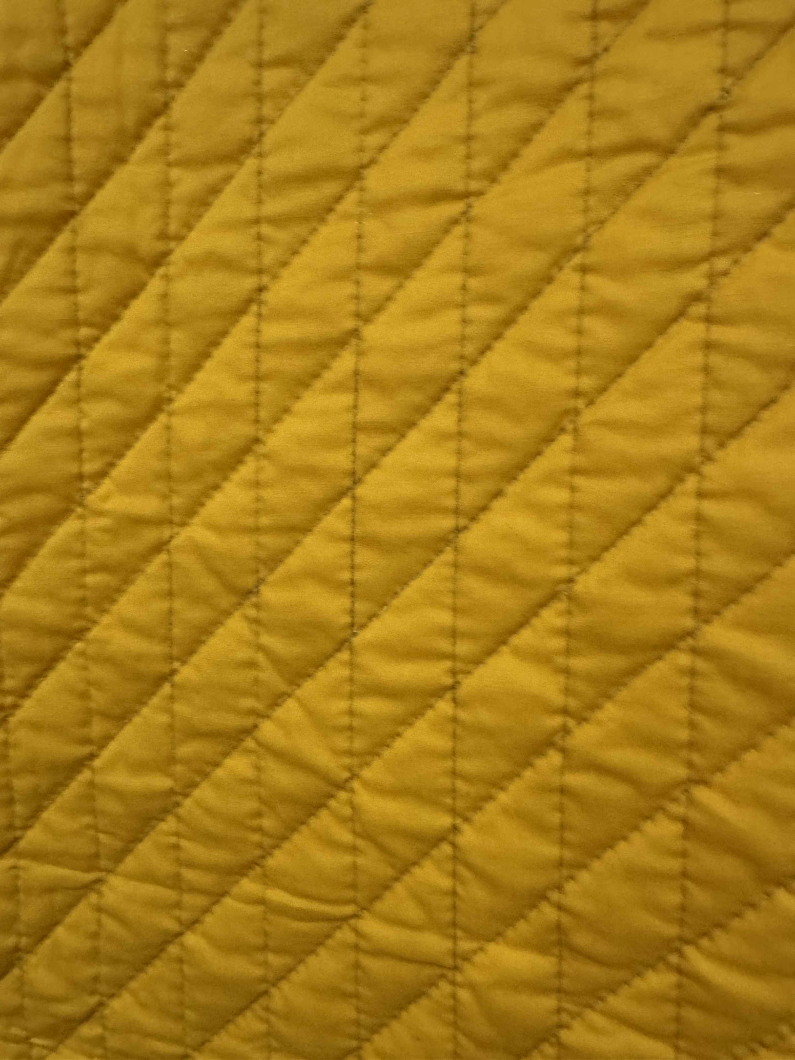 Vintage Shoo Fly Medallion Quilt