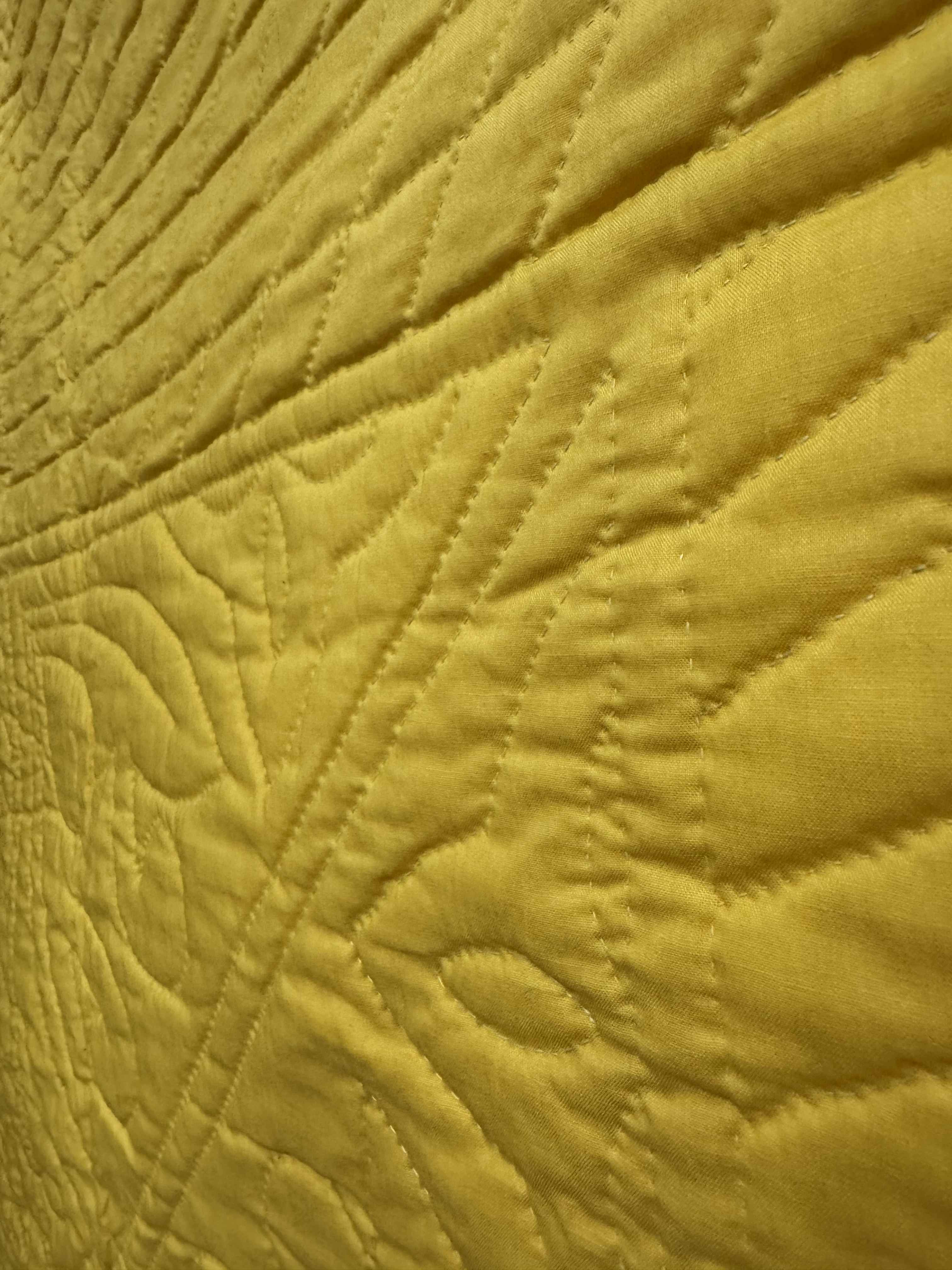 Vintage Shoo Fly Medallion Quilt