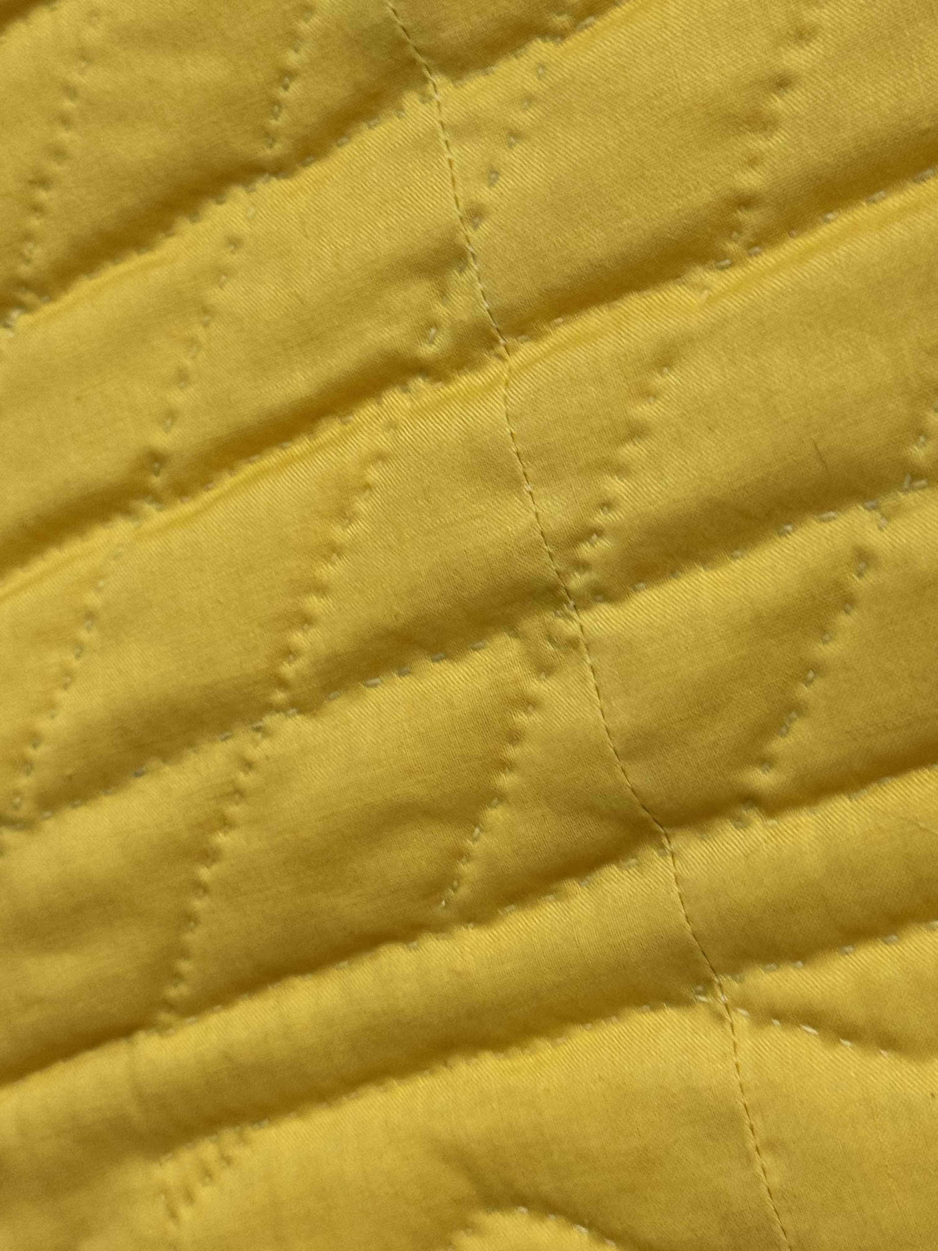Vintage Shoo Fly Medallion Quilt