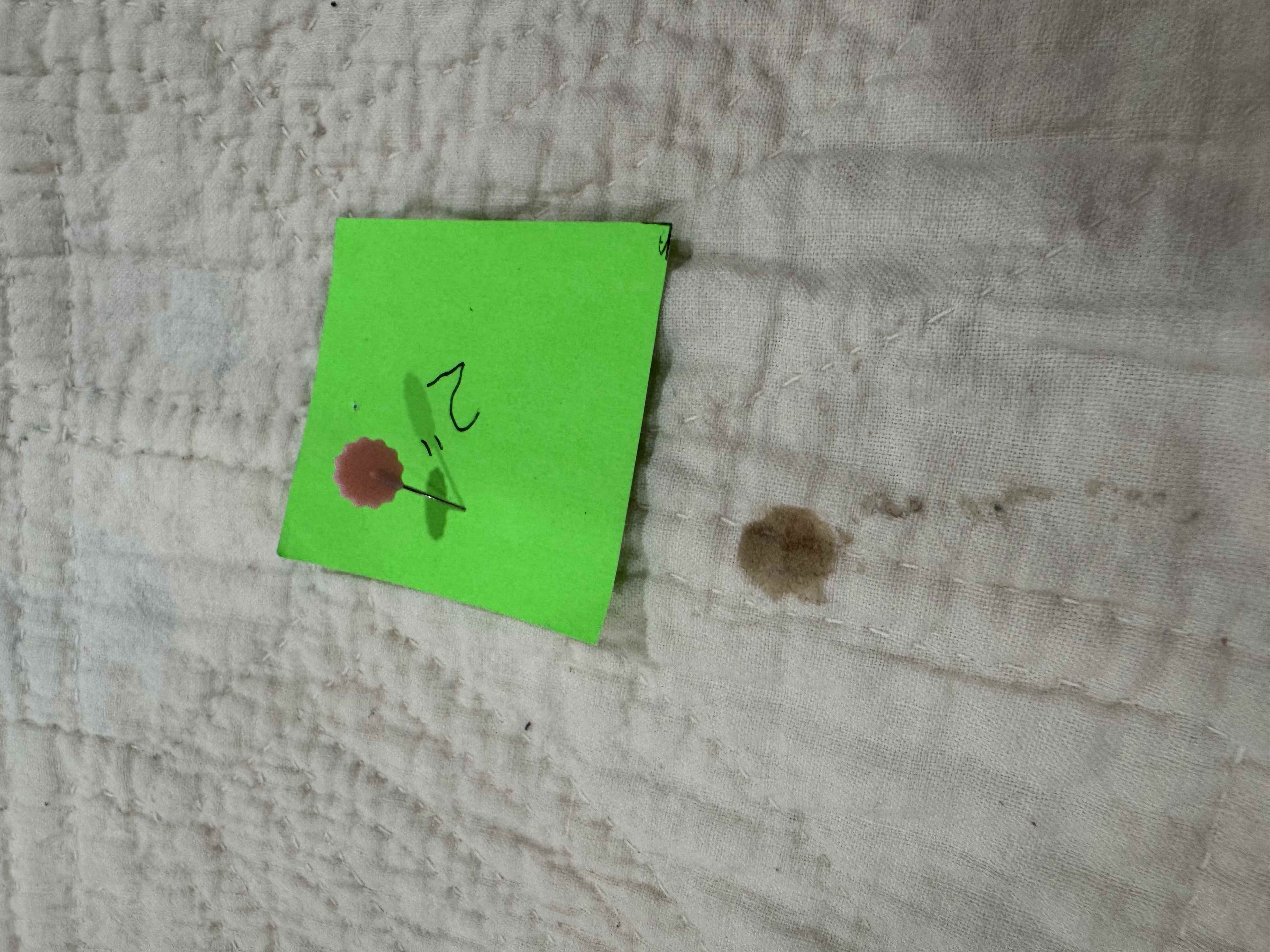 Vintage Job's Tears Quilt