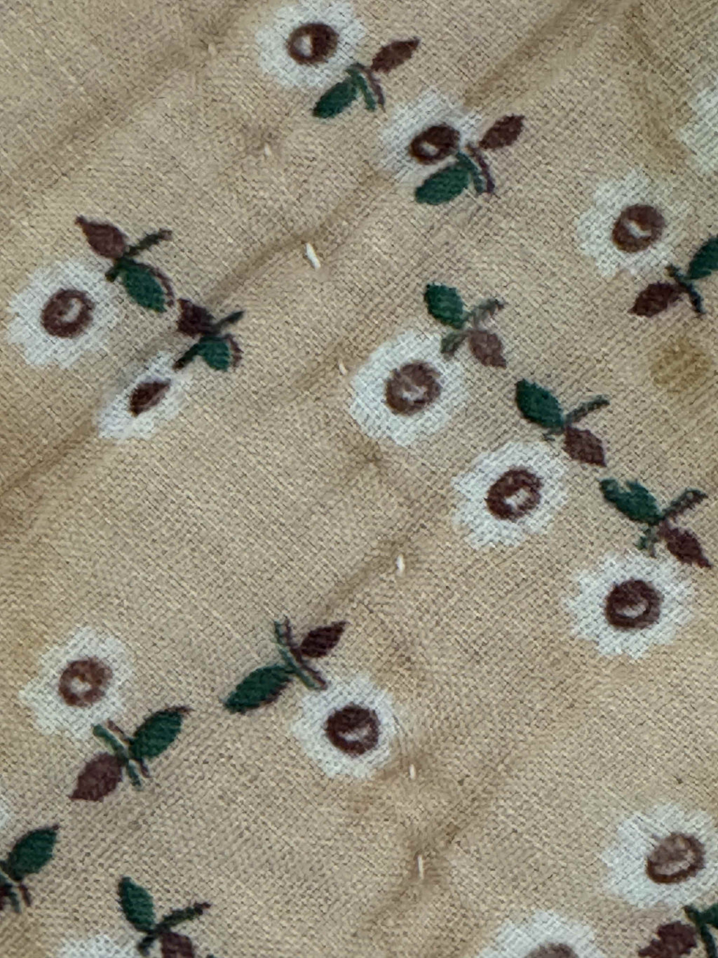 Vintage Kansas City Star Flower Garden Quilt