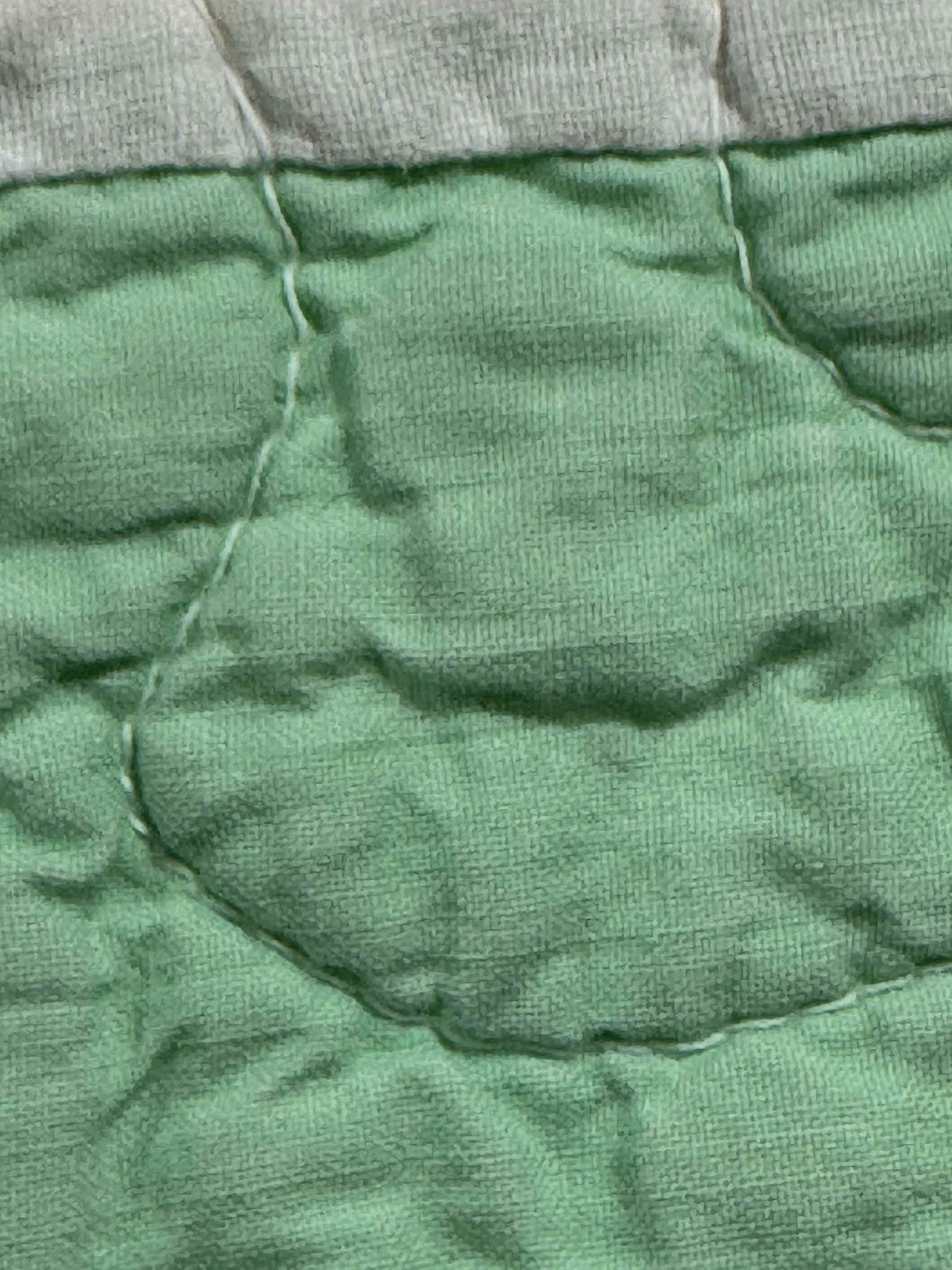 Vintage Quilt Dresden Plate