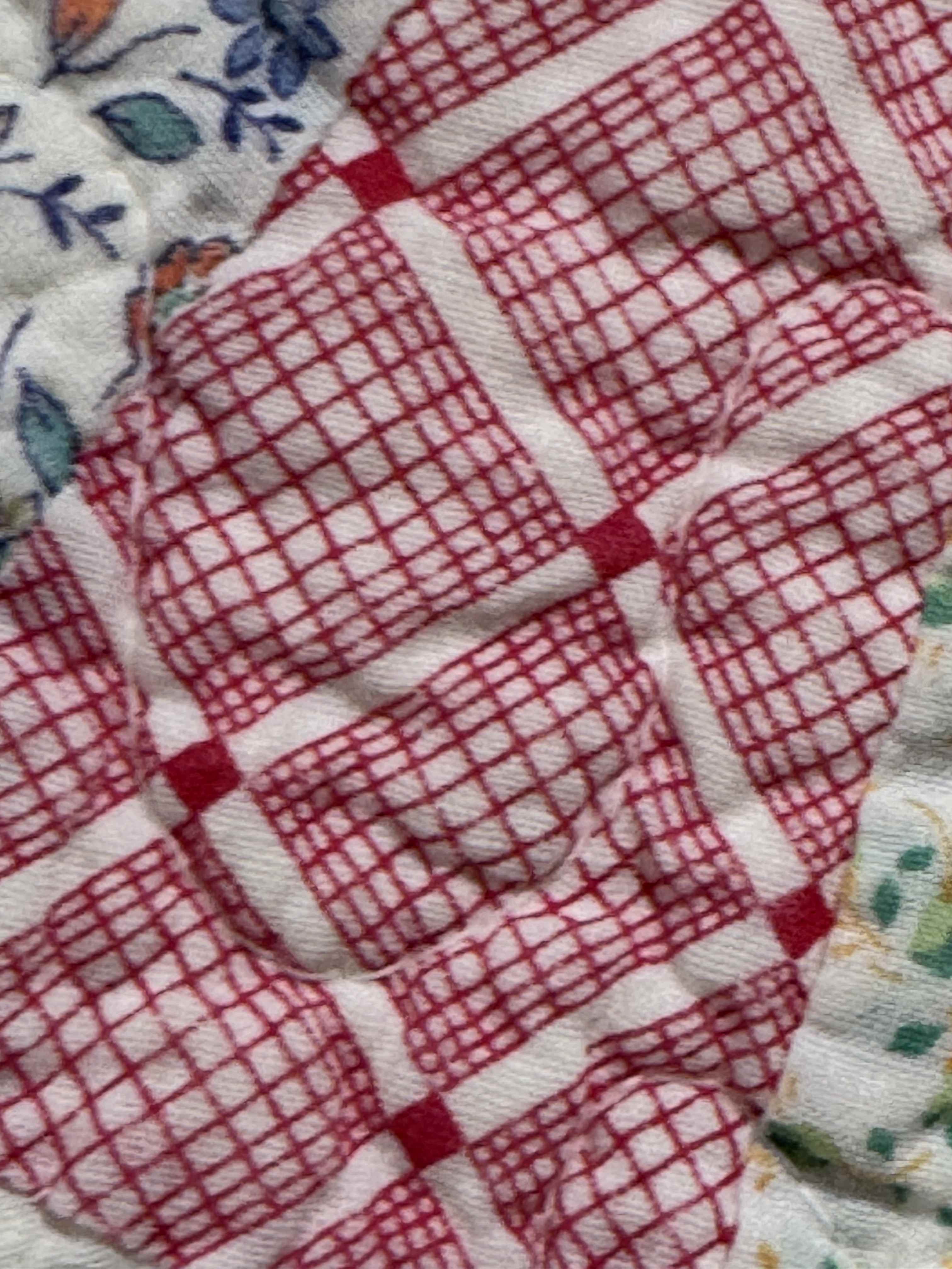 Vintage Quilt Dresden Plate