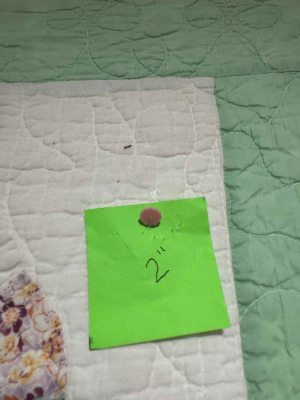 Vintage Quilt Dresden Plate
