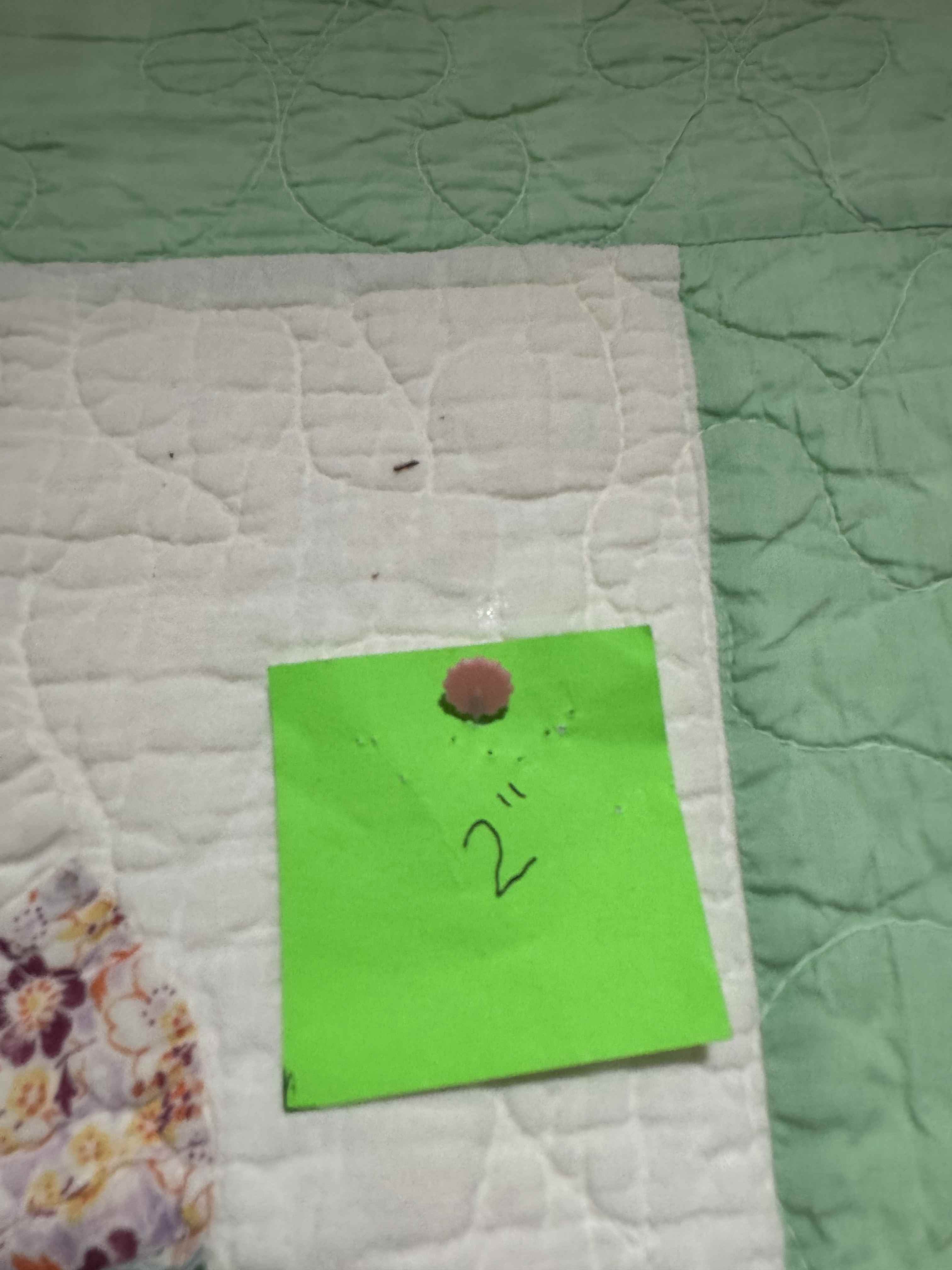 Vintage Quilt Dresden Plate