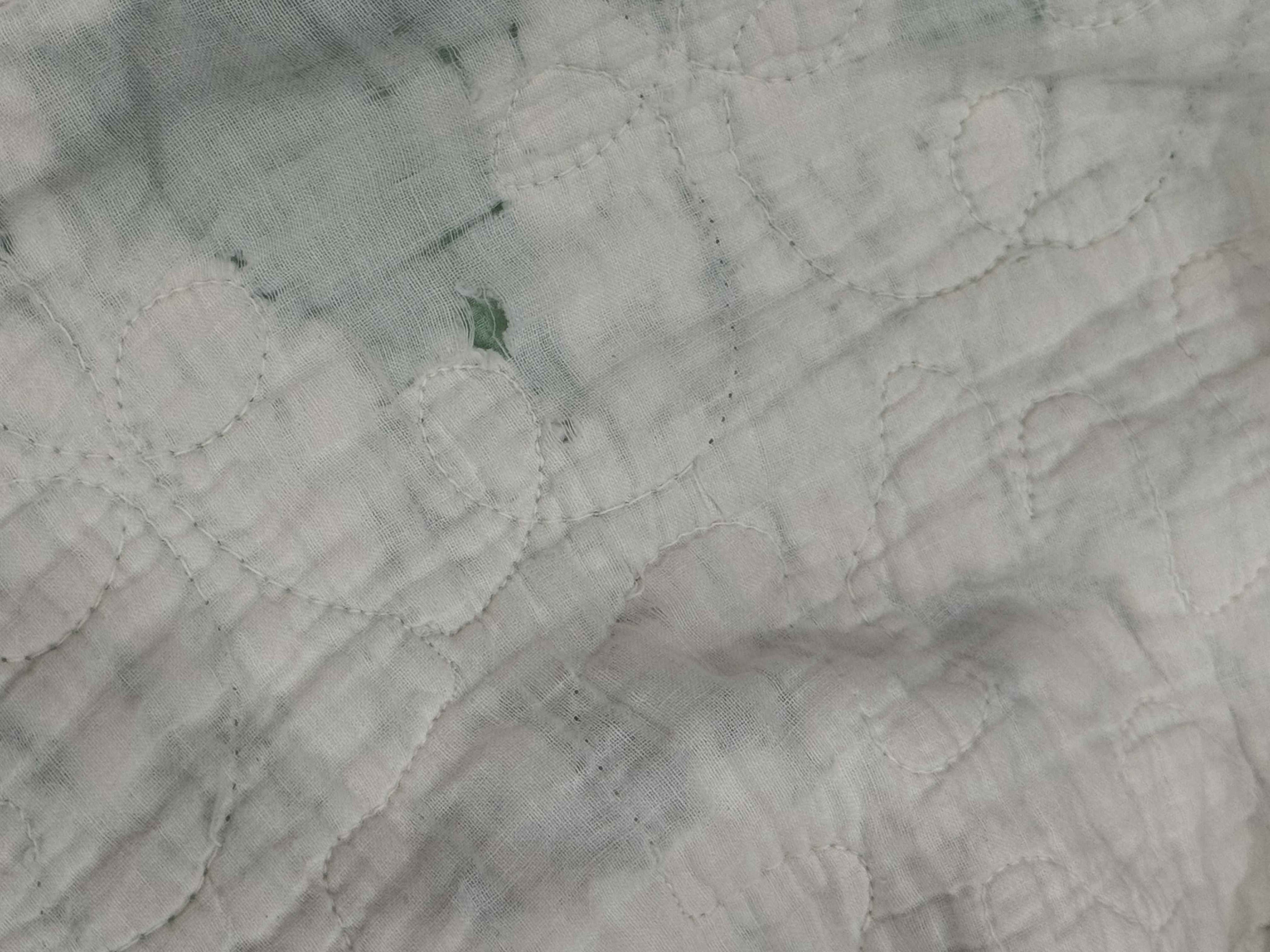 Vintage Quilt Dresden Plate