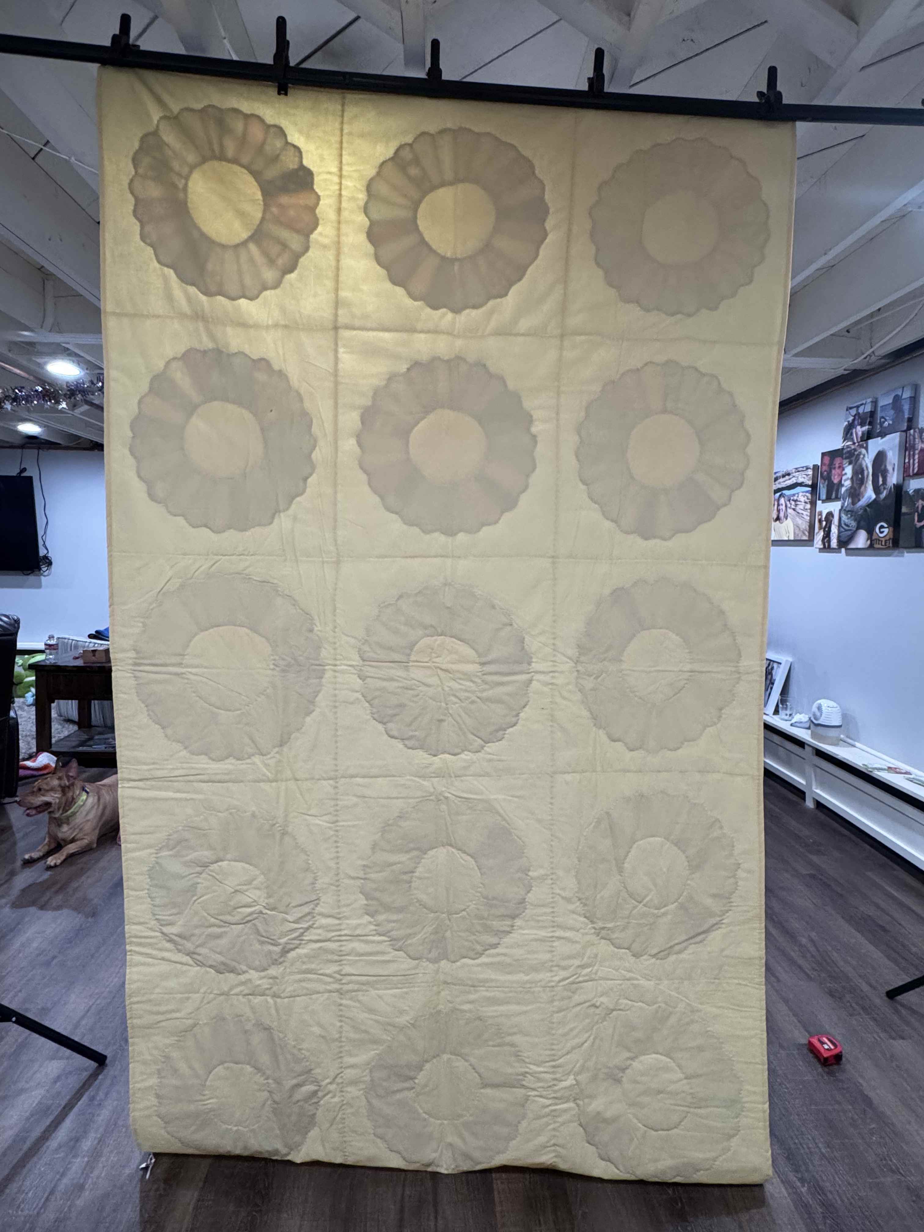 Vintage Quilt Dresden Plate Variation