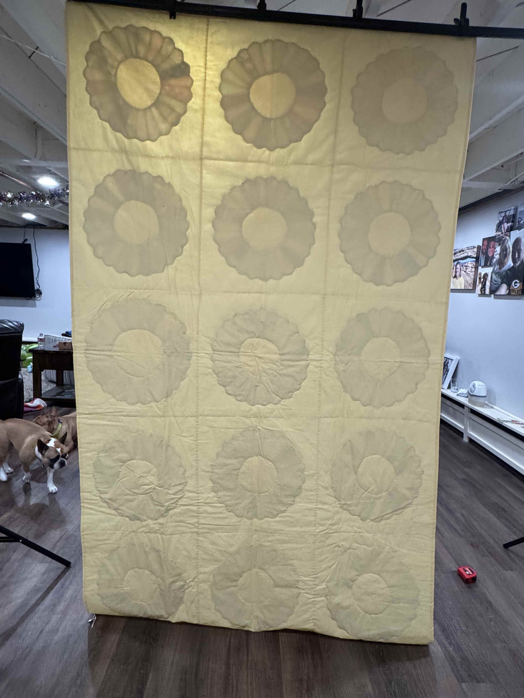 Vintage Quilt Dresden Plate Variation